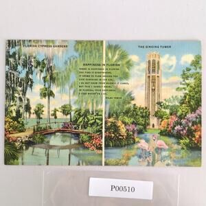 Florida Cypress Gardens The Singing Tower 1940s Linen Postcard FL Bok Lake Wales